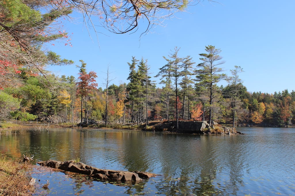 Frontenac Provincial Park