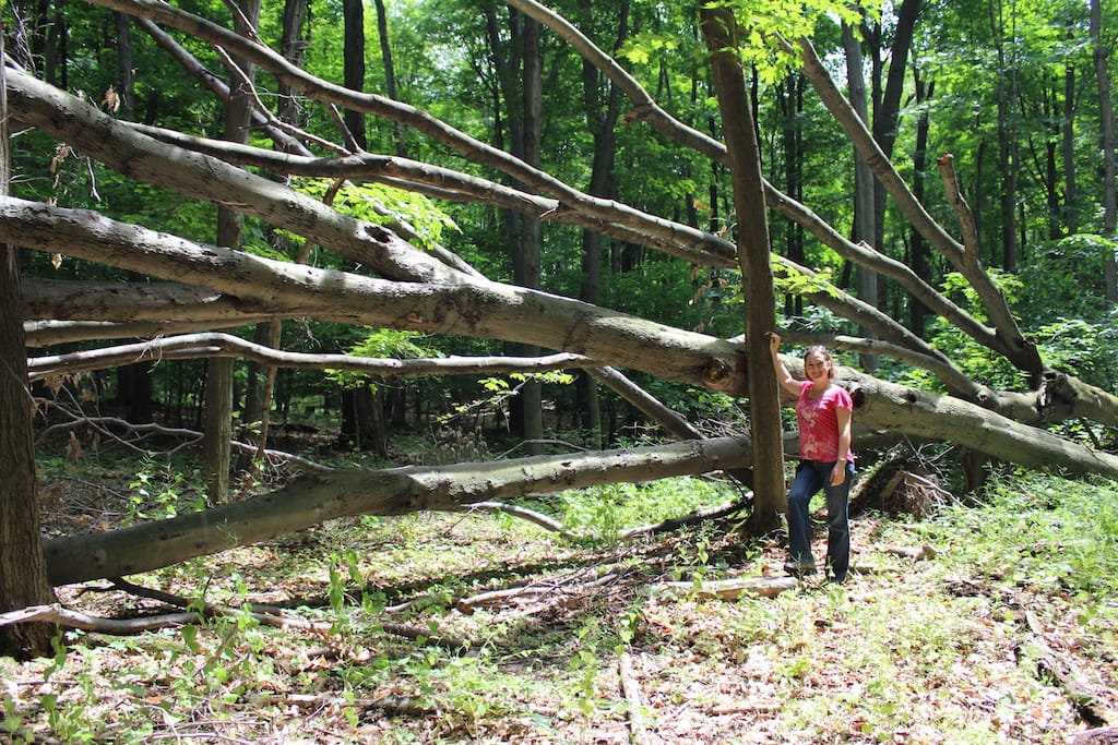 Short Hills Provincial Park