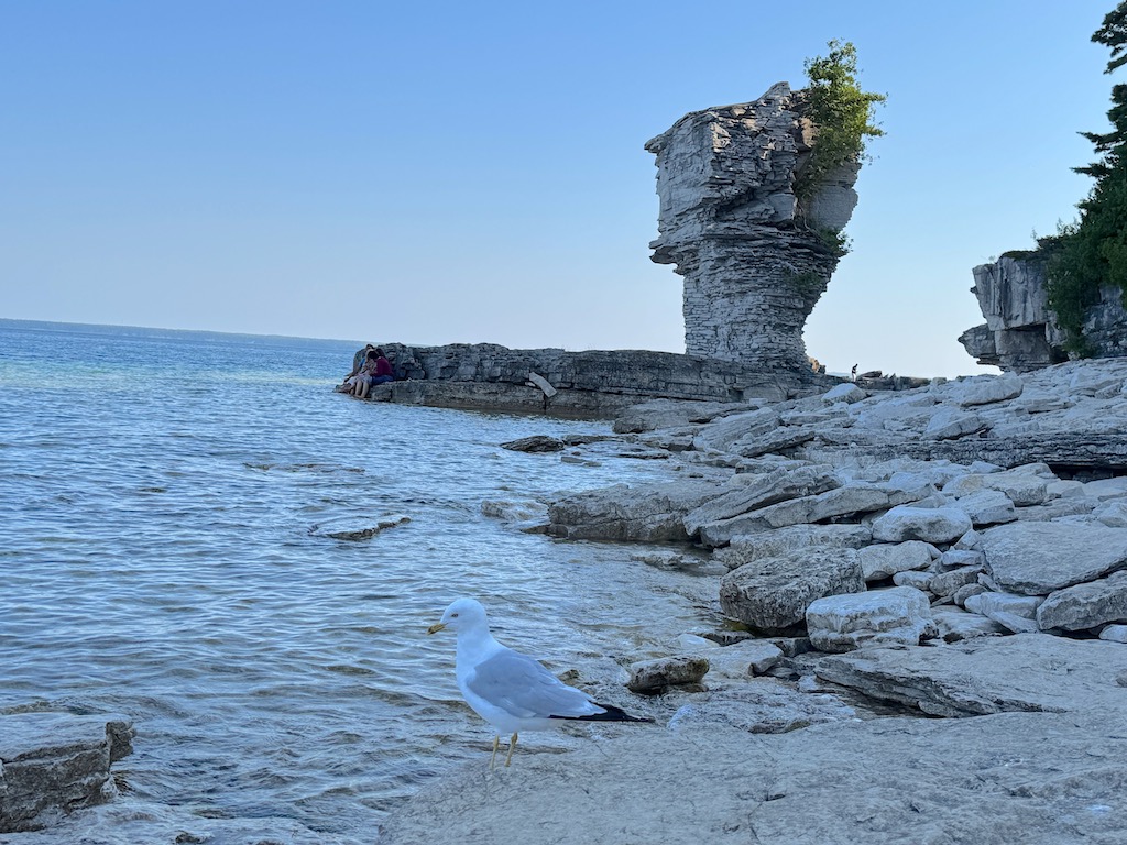 Fathom Five Millî Deniz Parkı - Flowerpot Adası
