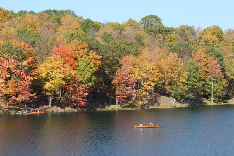 Frontenac Vilayet Parkı
