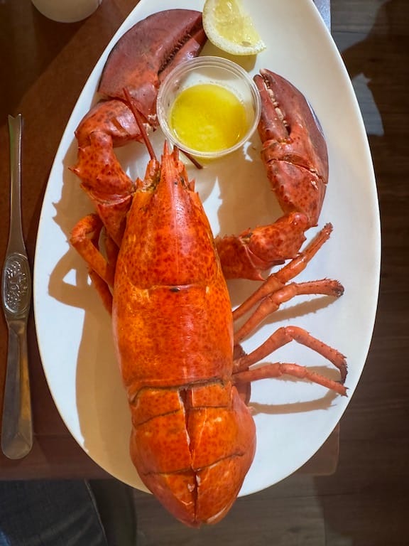 PEI ve ıstakoz