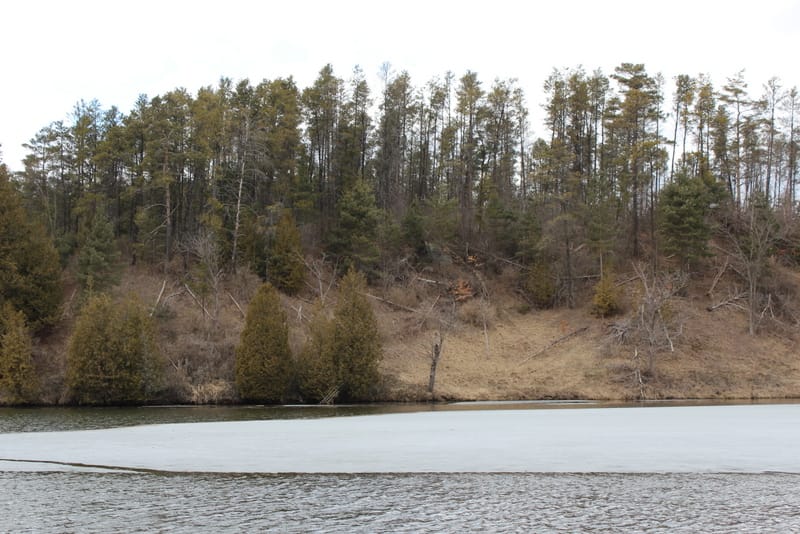 Albion Hills Conservation Area