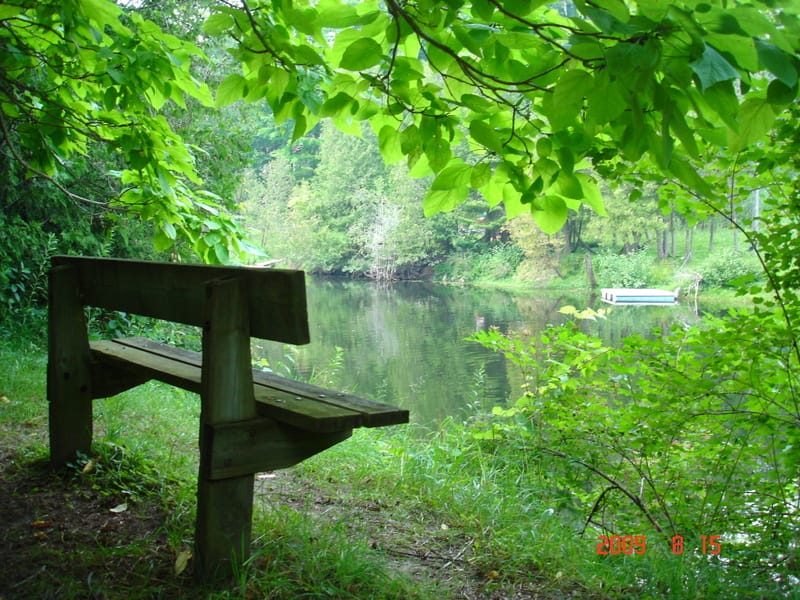 Sauble Falls Vilayet Parkı