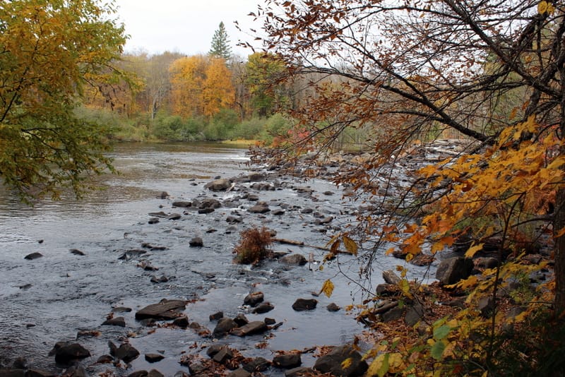 Ontario Vilayet Parkları - Oxtongue River-Ragged Falls