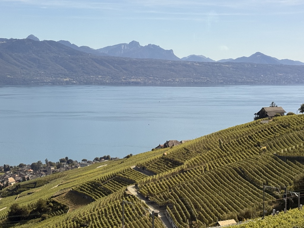 Lavaux Üzüm Bağları
