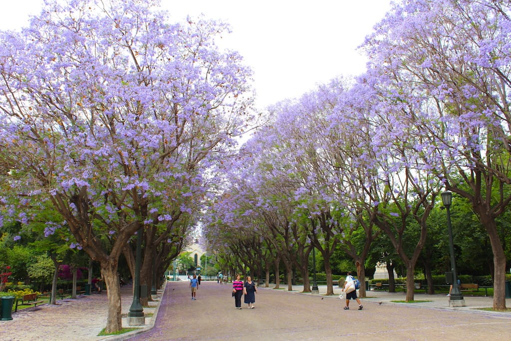 National Garden (Ulusal Bahçe)