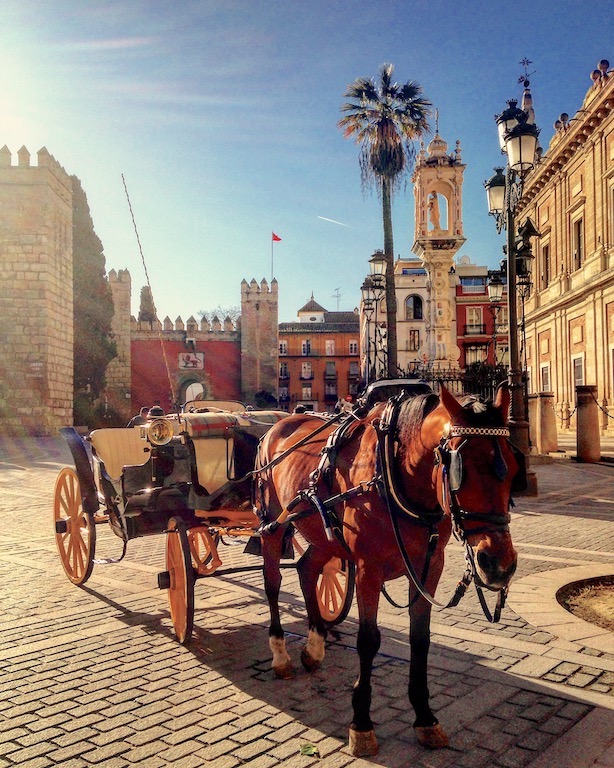 Real Alcazar (Alkazar Sarayı)