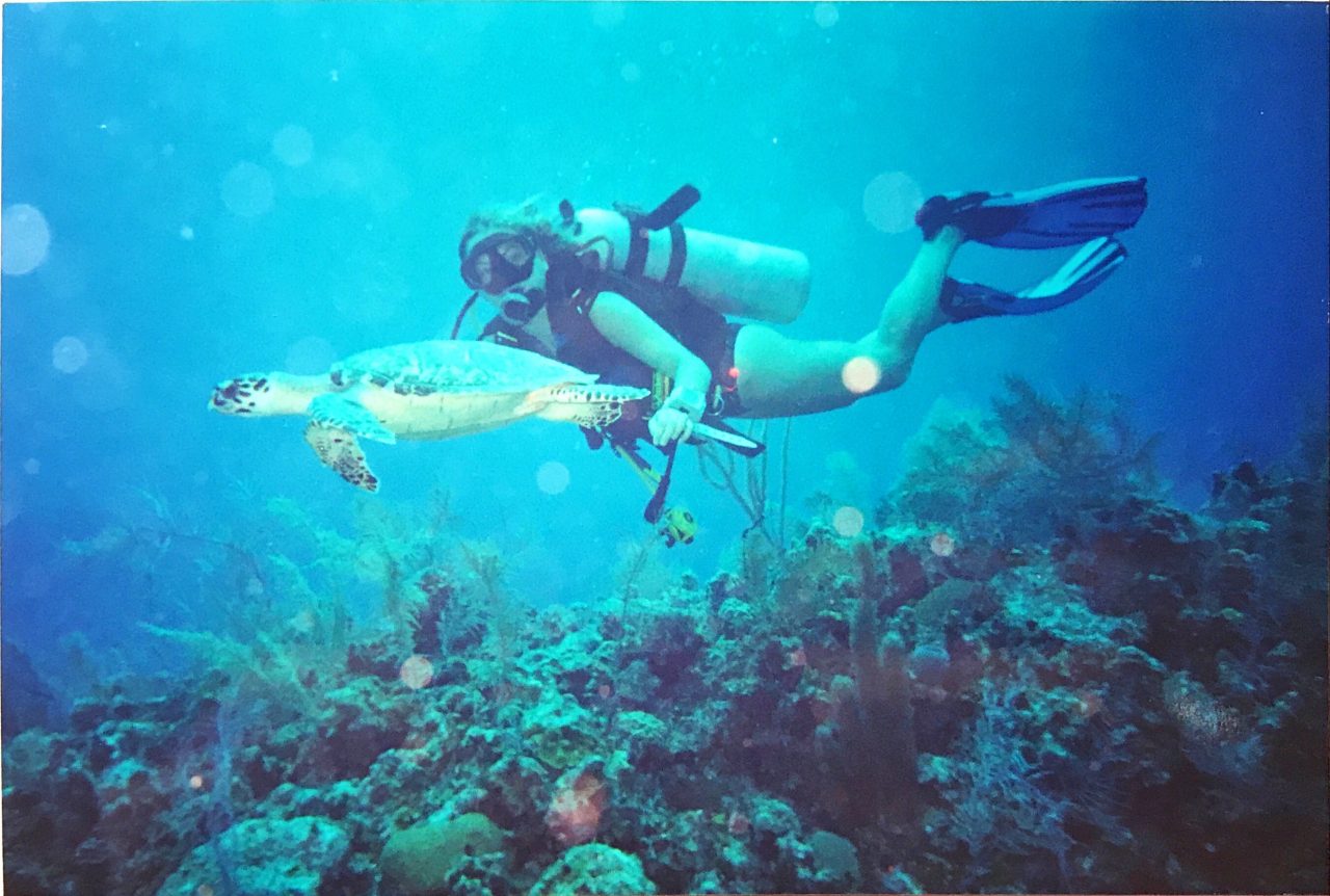 Cayman dalış rehberi