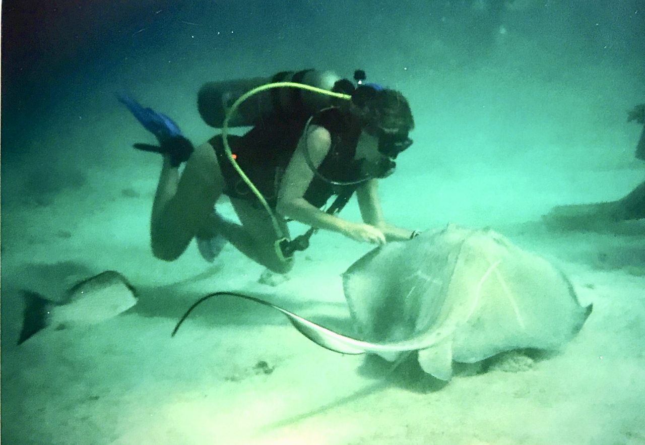 Cayman Adaları | Küçük Dünya - Gezi Rehberi