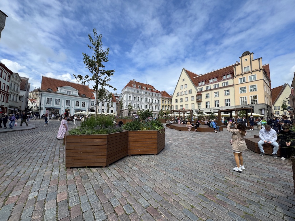 Raekoja Plats (Town Hall Square - Belediye Sarayı Meydanı)
