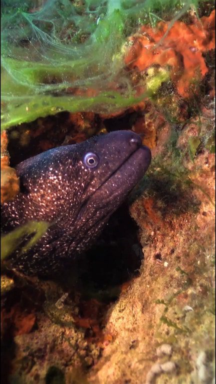 Lego Hill Fotoğraf: Volkan Dikmen