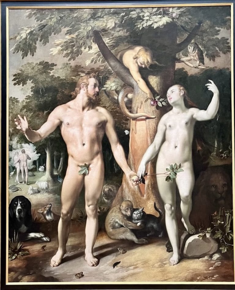 Rijksmuseum'daki bu eser, Hollandalı ressam Cornelis Cornelisz van Haarlem'e ait. De Zondeval (İnsanın Düşüşü / İlk Günah), 1592 yılında tuval üzerine yağlıboya tekniğiyle yapılmış. Tarzı, Hollanda Maniyerizmi (Dutch Mannerism). Bu eser, klasik Adem ve Havva tasvirlerinden farklı olarak yılanın insan gövdeli (kadın figürlü) olarak resmedilmiş. Ayrıca ön plandaki hayvanların her birinin sembolik bir anlamı var; örneğin kedi ve maymunun bir arada olması, şehveti ve günaha olan eğilimi temsil ediyor. Sol arka plandaysa Tanrı'nın (bir bulut içinde el ve yüz figürüyle) Adem ve Havva'yı uyardığı küçük bir sahne daha yer alıyor.
