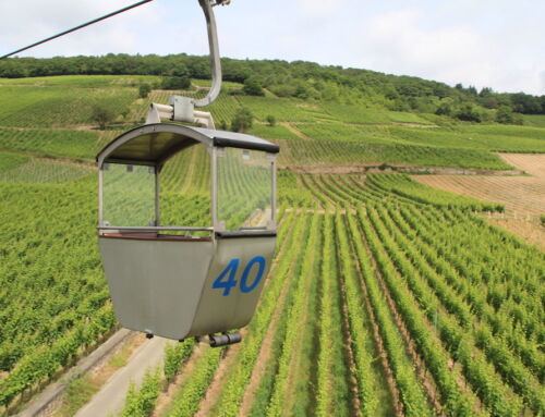 Rüdesheim Gezi Rehberi – Riesling & Pinot Noir Başkenti