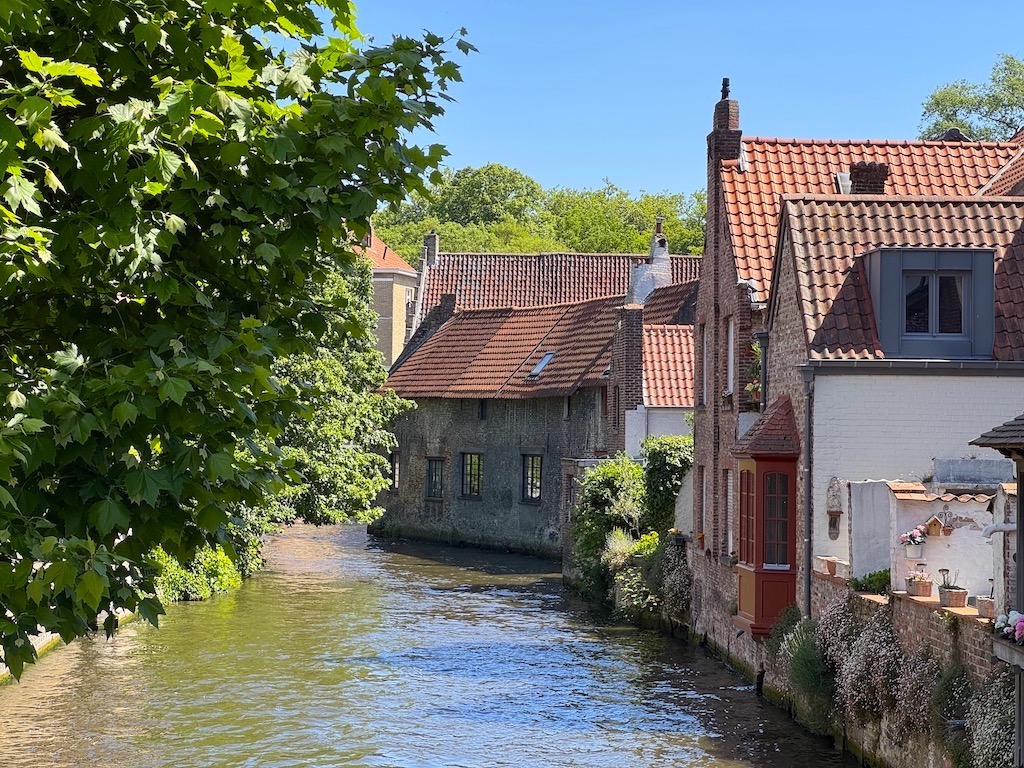 Dijver Nehri