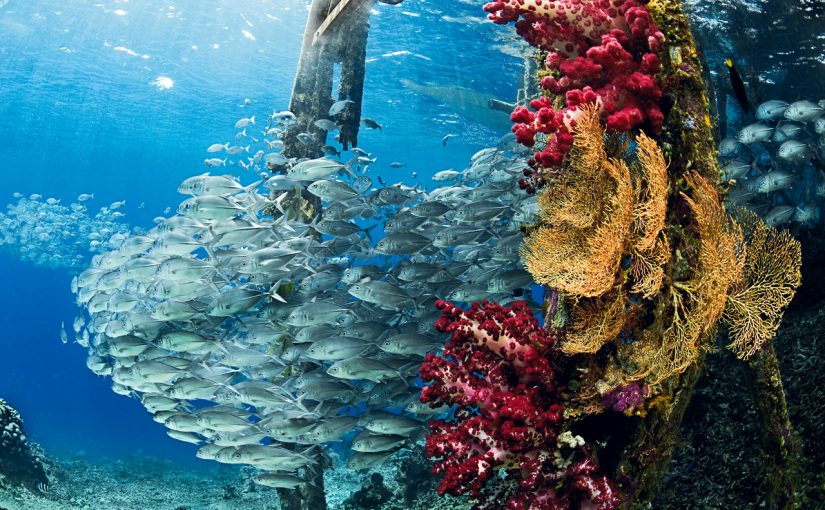 Saygun Dura & Somutun Ardındaki Esas