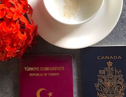 Kültür Şoku Nedir?