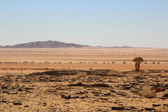 Namib Çölü Namib Naukluft Ulusal Parkı | Küçük Dünya - Gezi Rehberi