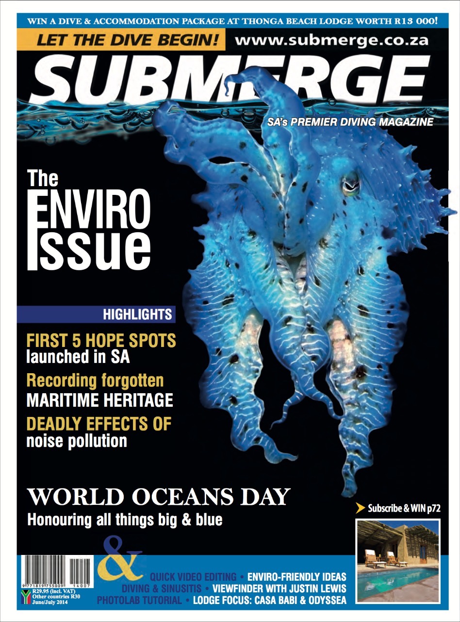 Tunç Yavuzdoğan - Submerge