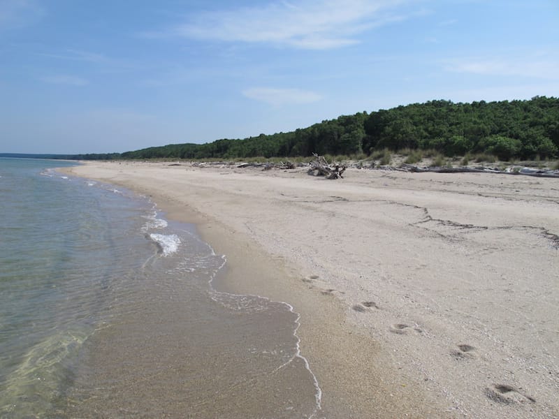 İğneada & Longoz Ormanları