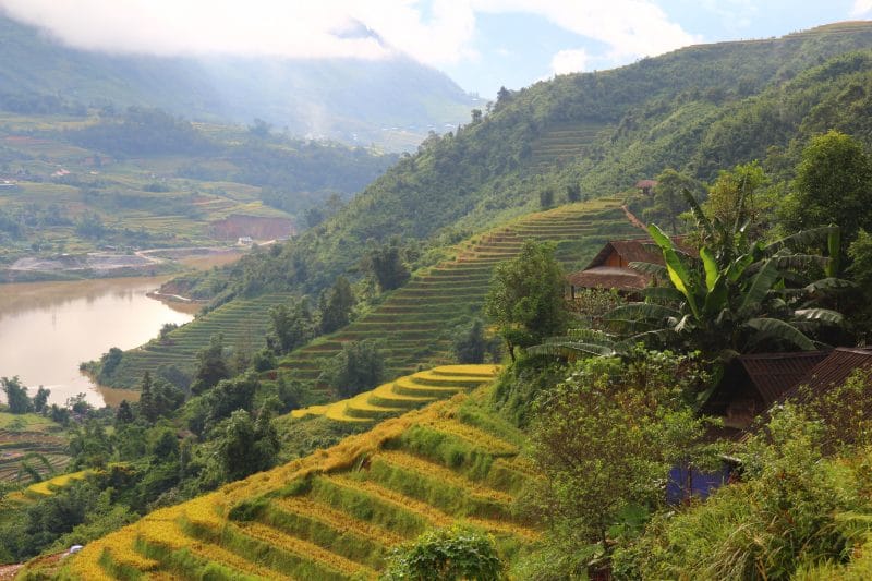 Sapa (Sa Pa) – Vietnam’ın Pirinç Tarlaları