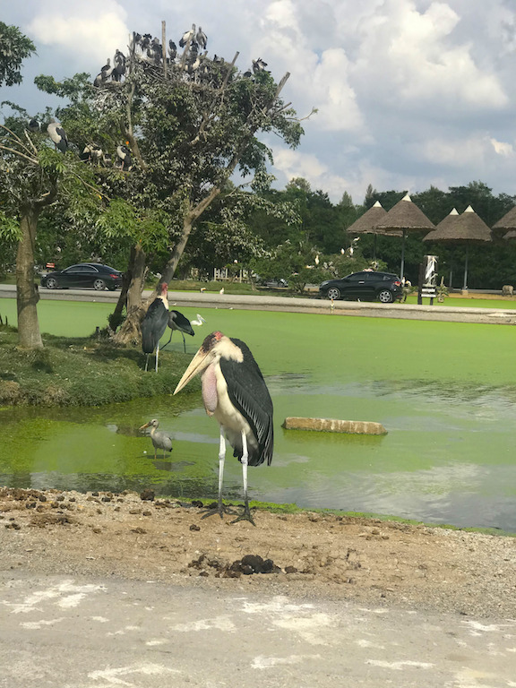 Safari World Bangkok