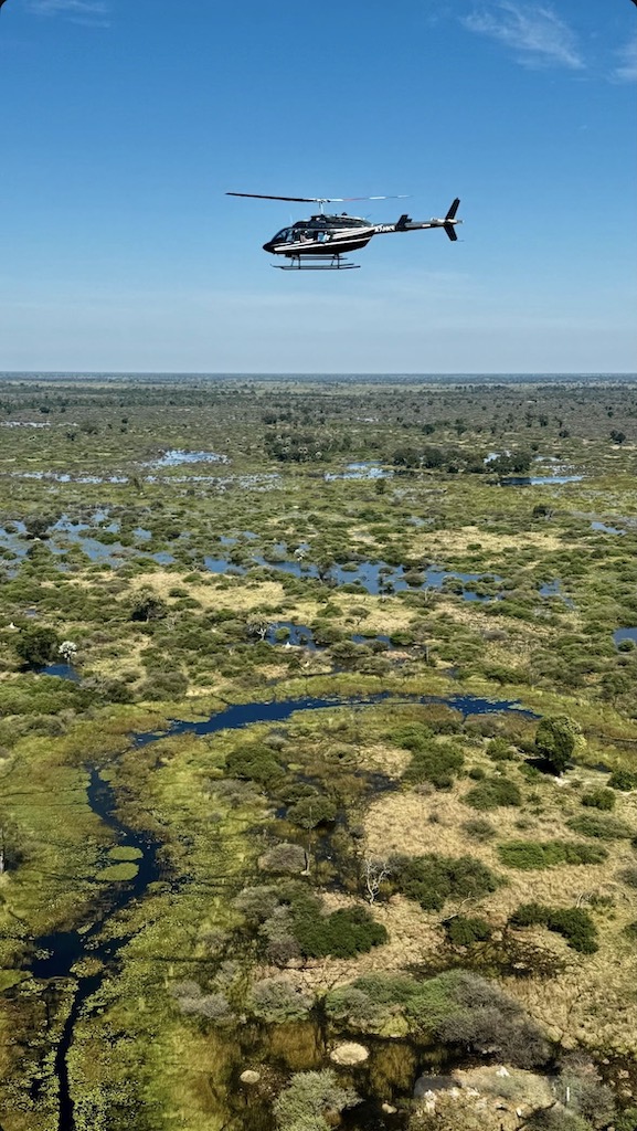 Okavango Deltası