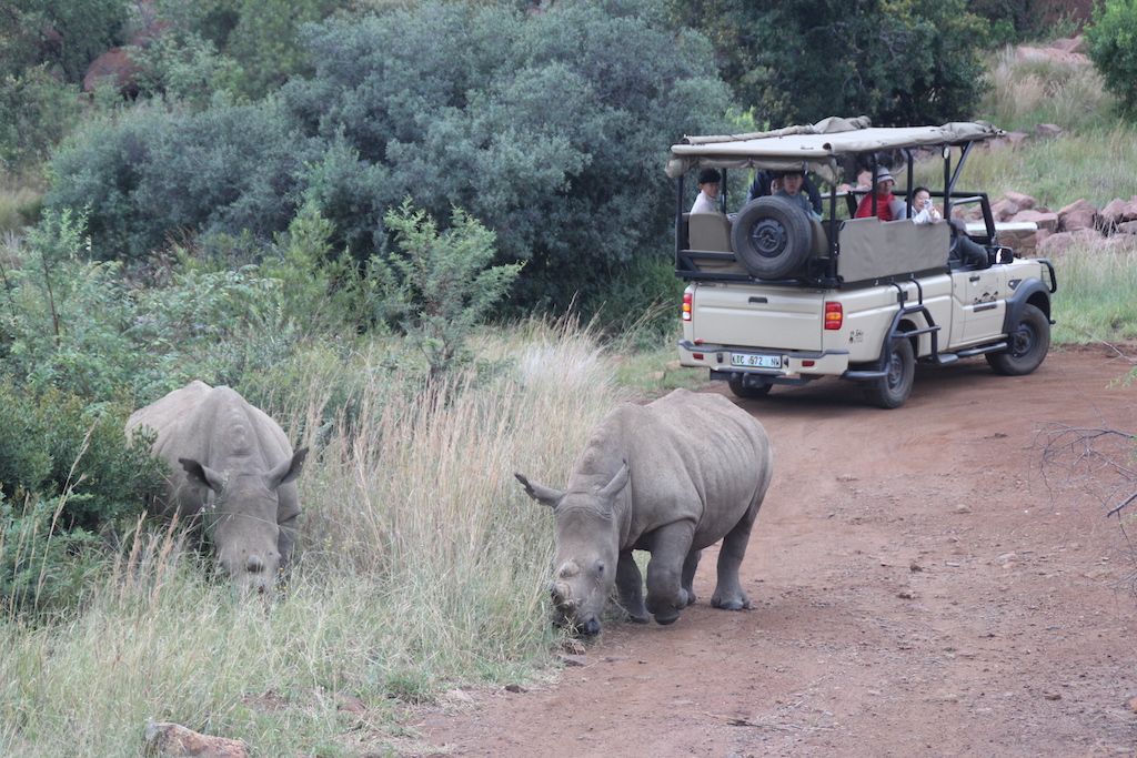 Pilanesberg Millî Parkı
