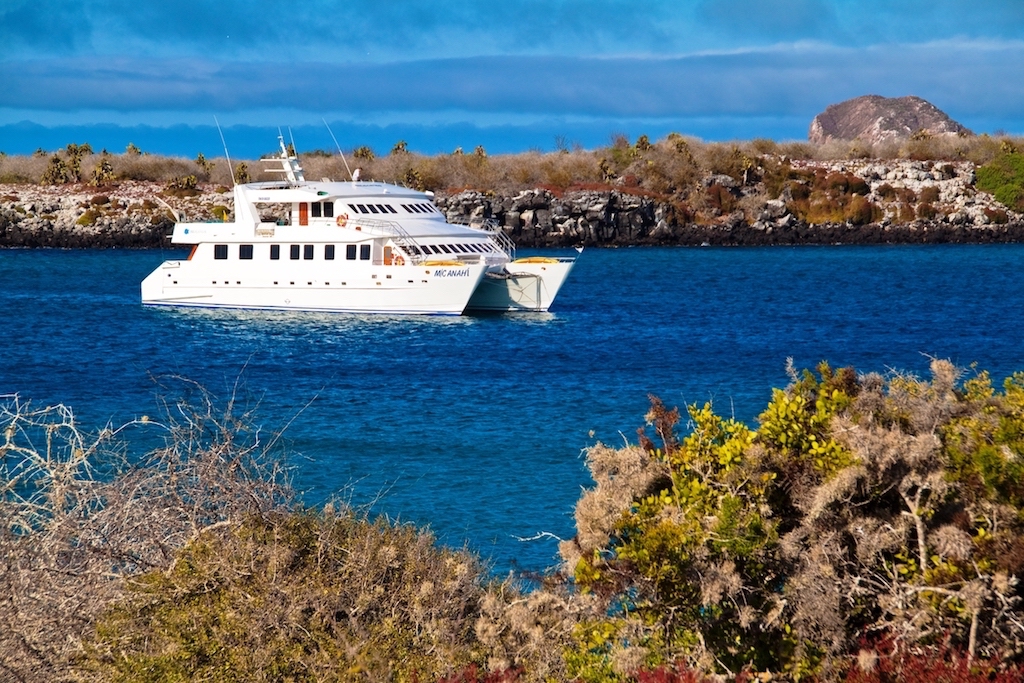 Galapagos Adaları Cruise Turu - Yacht Catamarán Anahi
