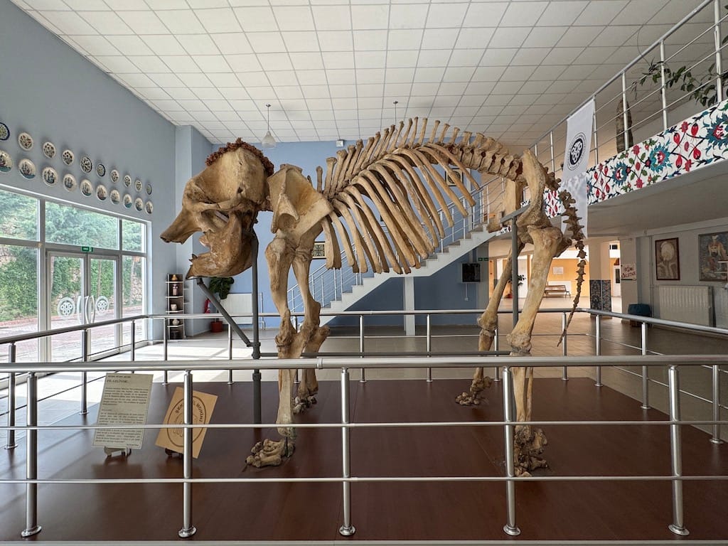 Prof. Dr. Ali Demirsoy Doğa Tarihi Müzesi