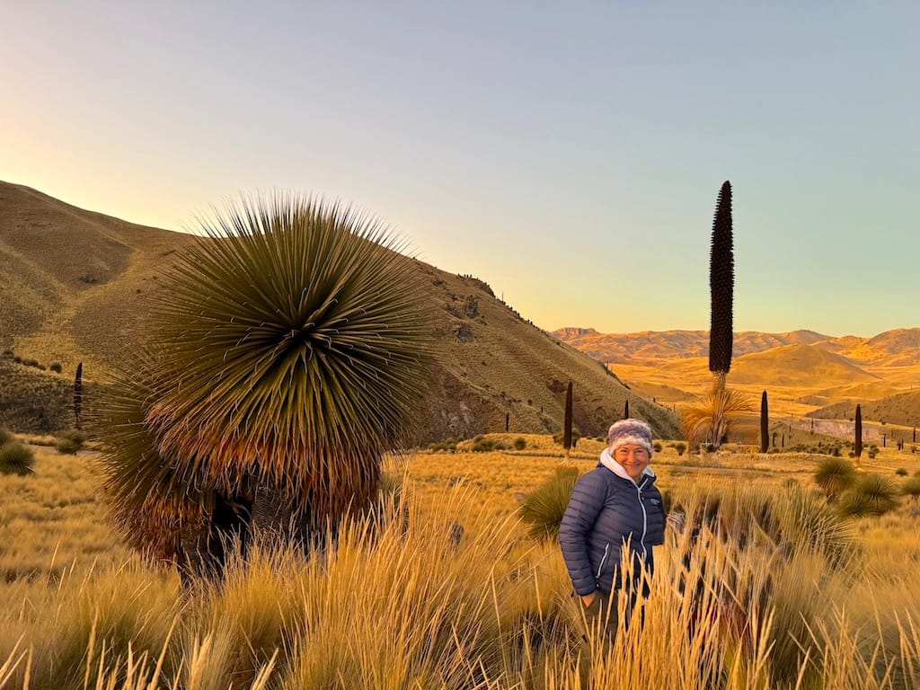 Puya Raimondii