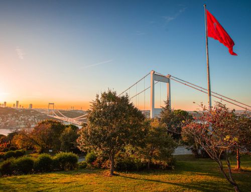 İstanbul’da Tek Başına Keşfedilebilecek Parklar ve Yeşil Alanlar Rehberi