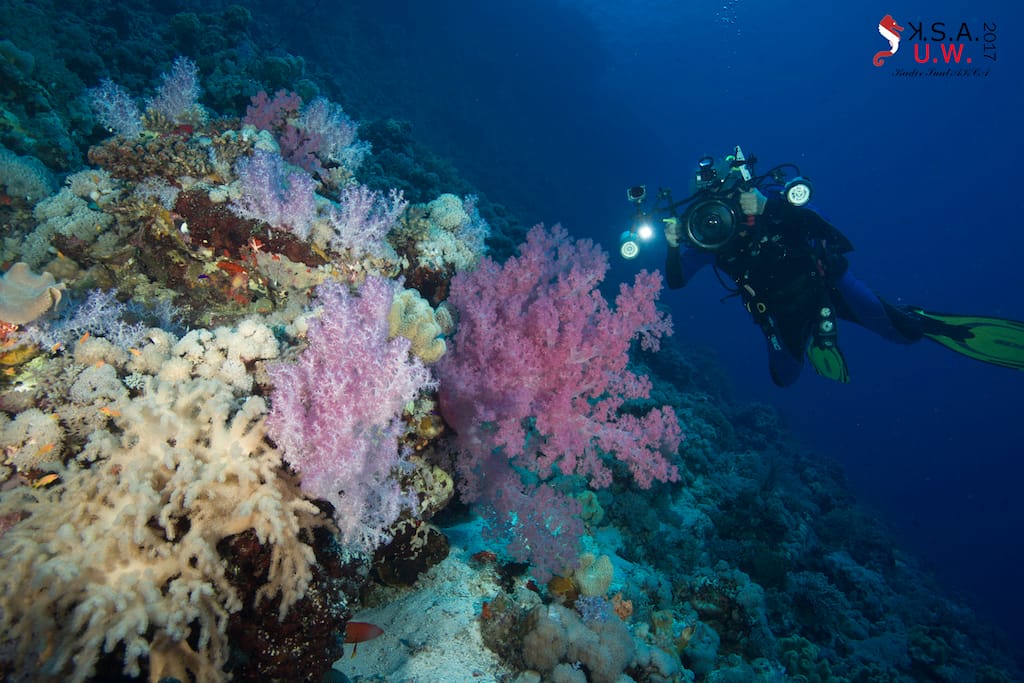 Kızıldeniz dalış noktaları - 5 Sisters Fotoğraf: Kadir Suat Akça