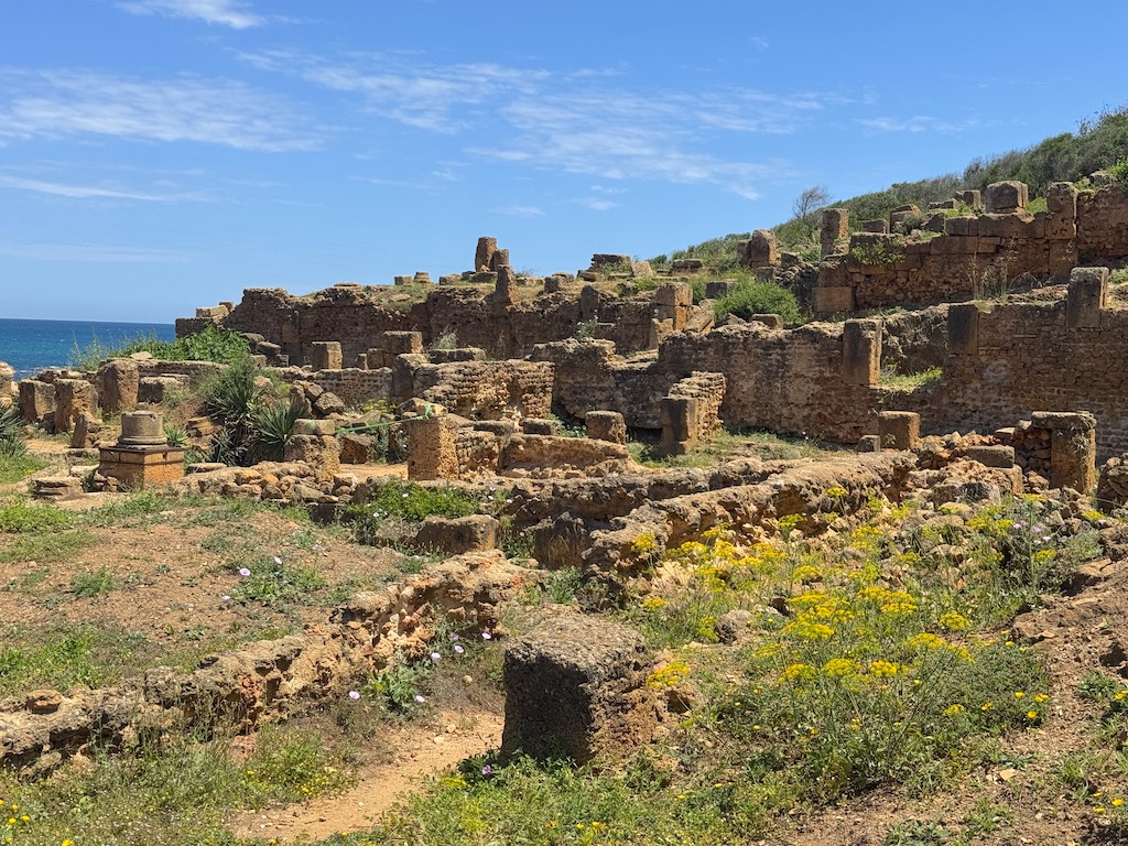 Tipasa