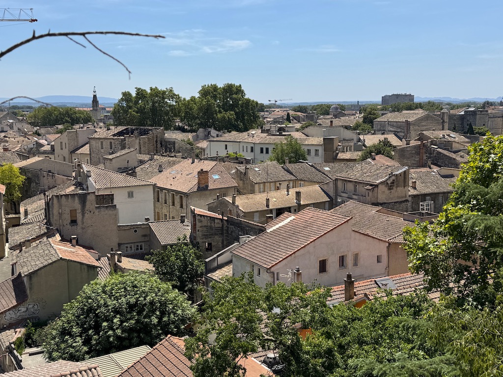 Avignon