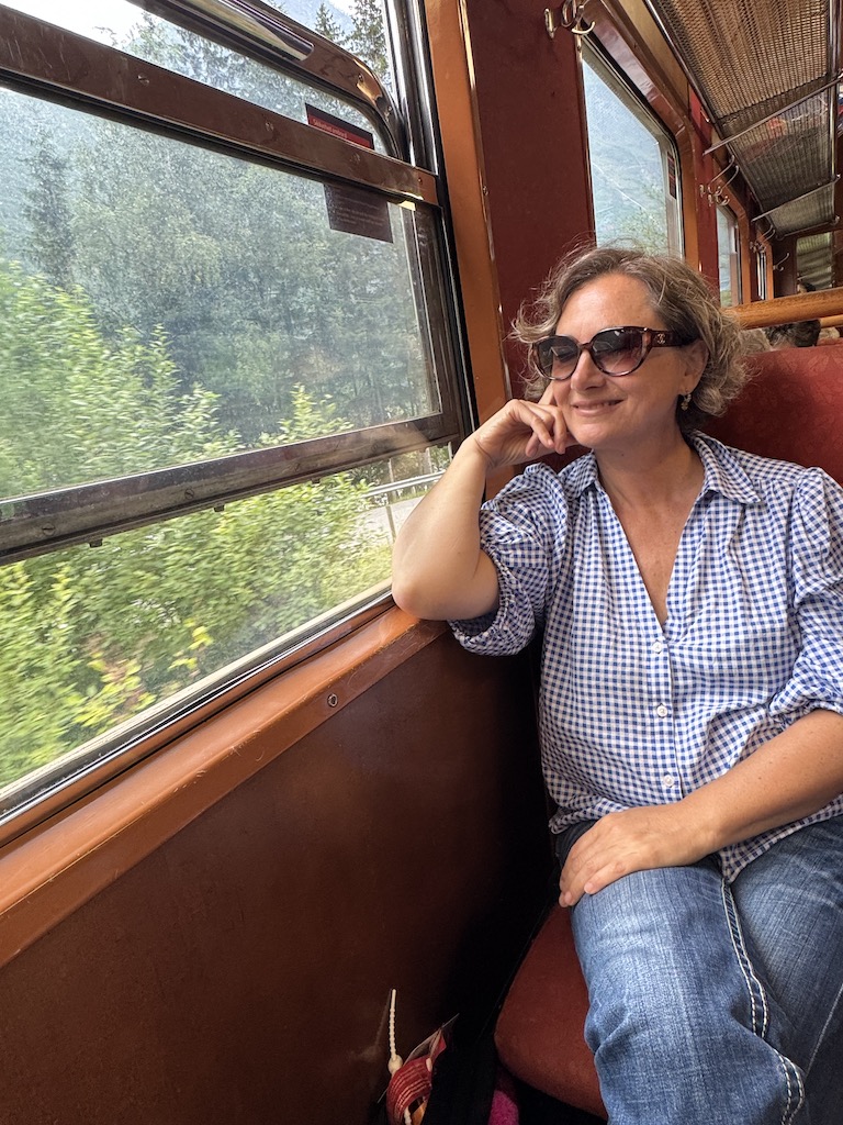 Flåm Treni