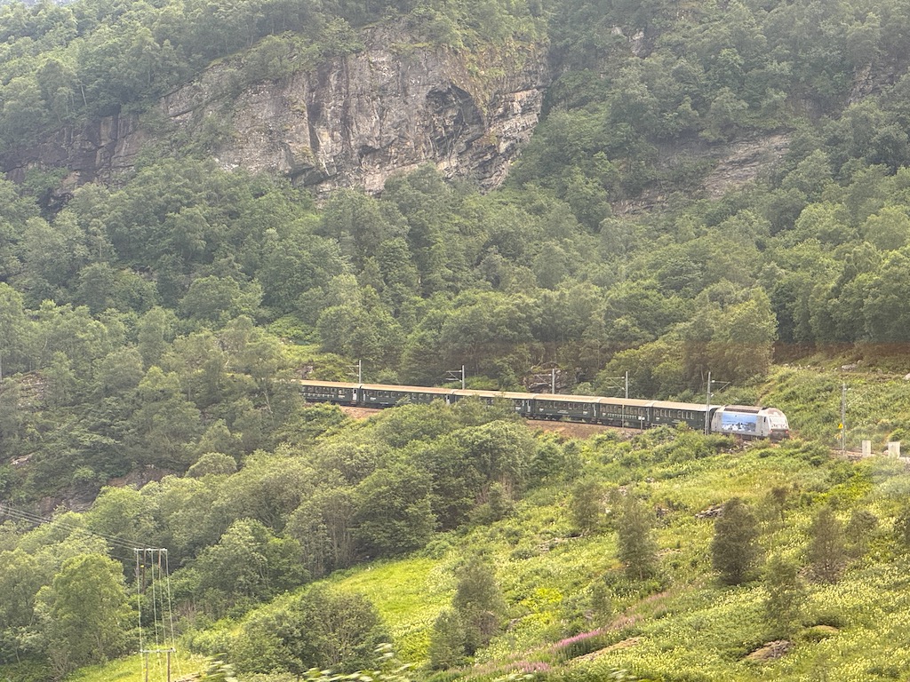 Flam Treni (Flåmsbana)