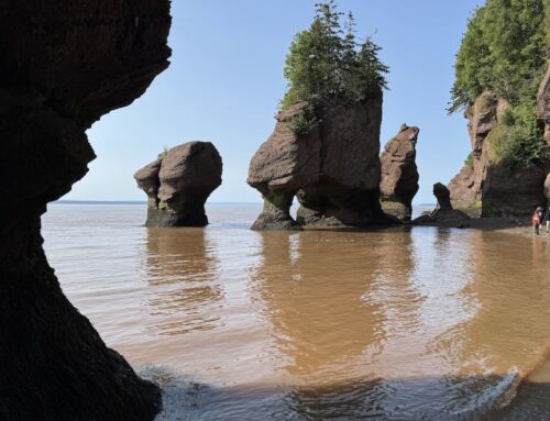 New Brunswick Eyaleti Gezi Rehberi